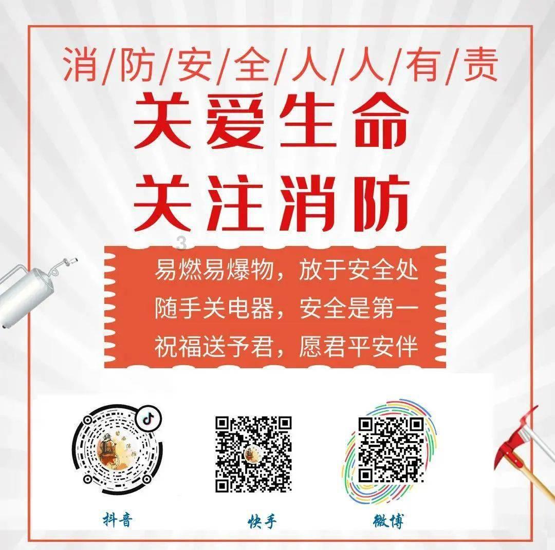 虫虫助手下载